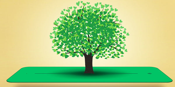 Partnership with Tree-Nation : Why Plant Trees?